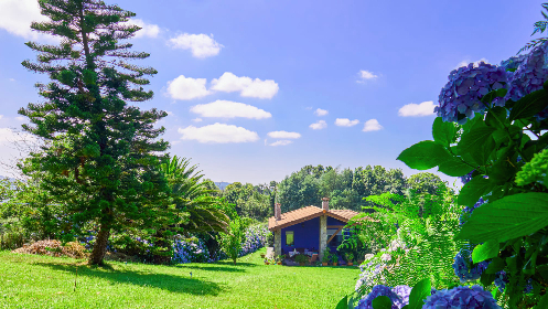 Cata Exclusiva de Chocolate y Cava en la naturaleza