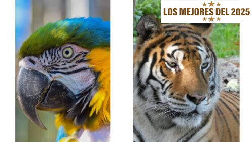 Entradas para el zoo 