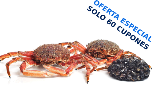 Lote de marisco vivo con recogida en cetárea